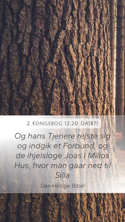 2 Kongebog 12:20 DA1871 Bible Verse Image