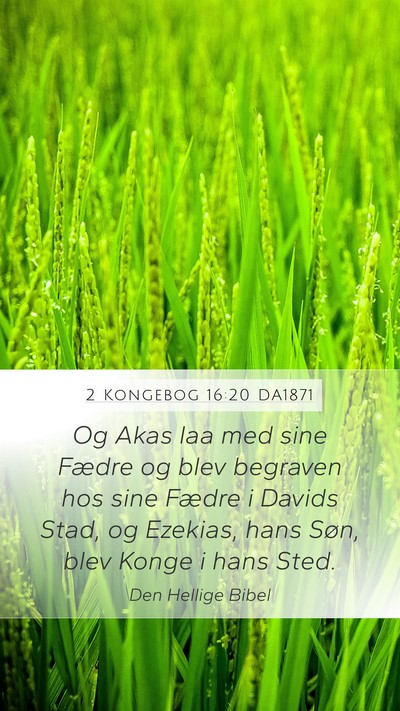 2 Kongebog 16:20 DA1871 Bible Verse Image