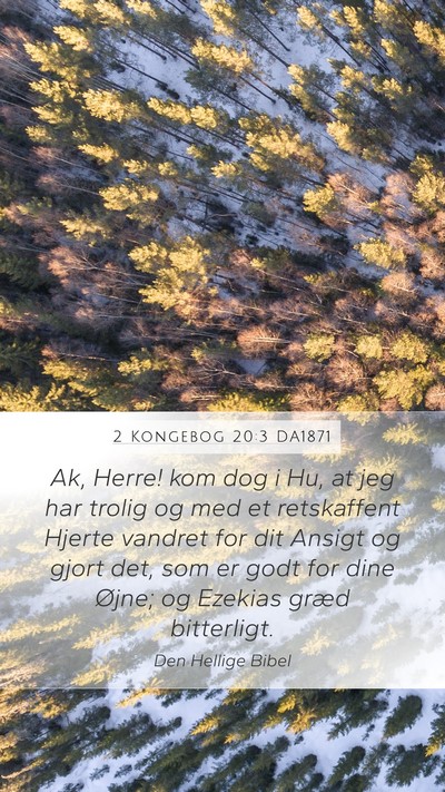 2 Kongebog 20:3 DA1871 Bible Verse Image