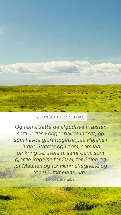 2 Kongebog 23:5 DA1871 Bible Verse Image