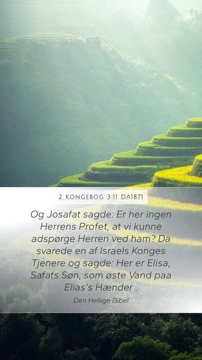 2 Kongebog 3:11 DA1871 Bible Verse Image