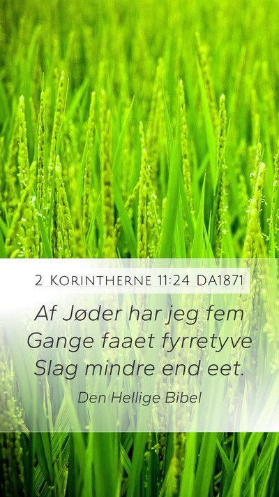 2 Korintherne 11:24 DA1871 Bible Verse Image