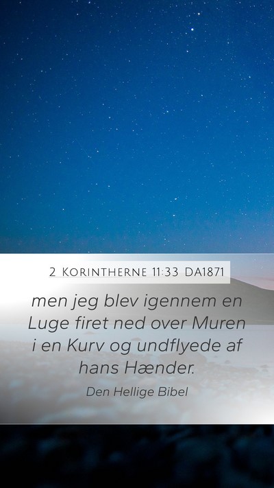 2 Korintherne 11:33 DA1871 Bible Verse Image