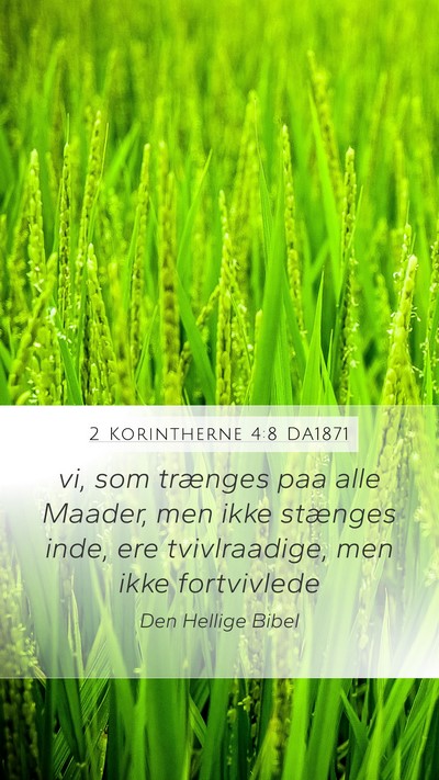 2 Korintherne 4:8 DA1871 Bible Verse Image