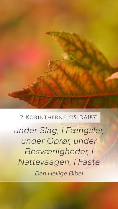 2 Korintherne 6:5 DA1871 Bible Verse Image