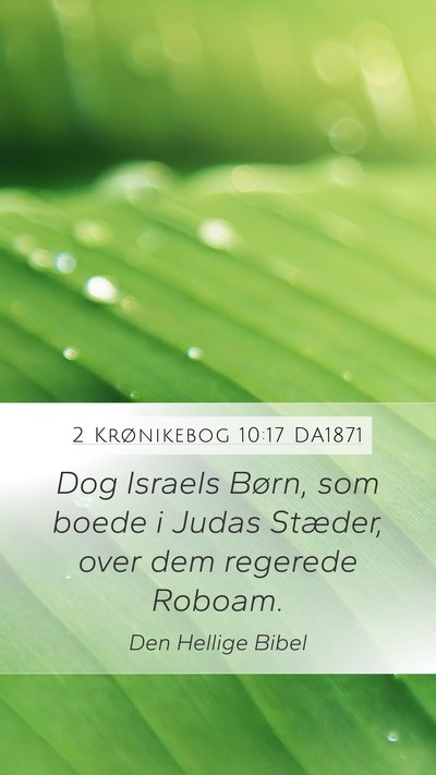 2 Krønikebog 10:17 DA1871 Bible Verse Image