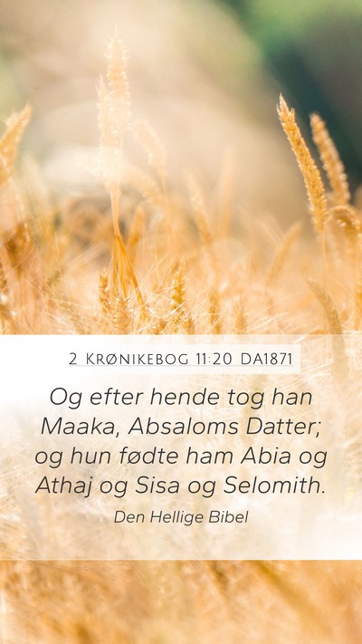 2 Krønikebog 11:20 DA1871 Bible Verse Image