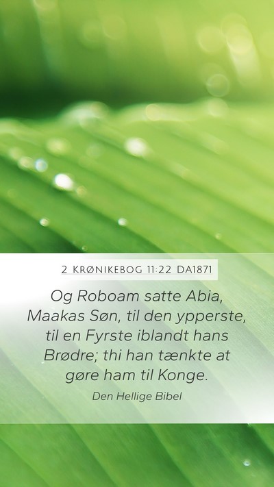 2 Krønikebog 11:22 DA1871 Bible Verse Image