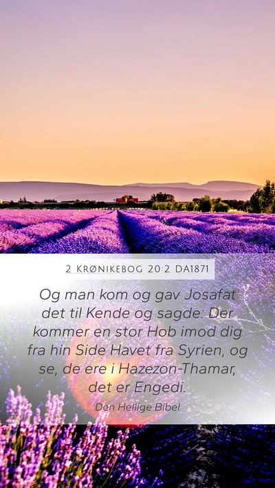 2 Krønikebog 20:2 DA1871 Bible Verse Image