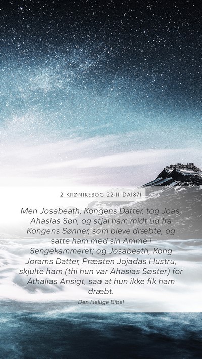 2 Krønikebog 22:11 DA1871 Bible Verse Image