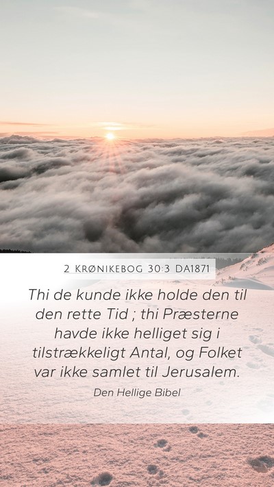 2 Krønikebog 30:3 DA1871 Bible Verse Image
