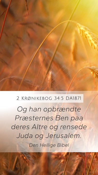 2 Krønikebog 34:5 DA1871 Bible Verse Image