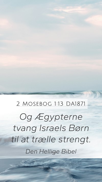 2 Mosebog 1:13 DA1871 Bible Verse Image