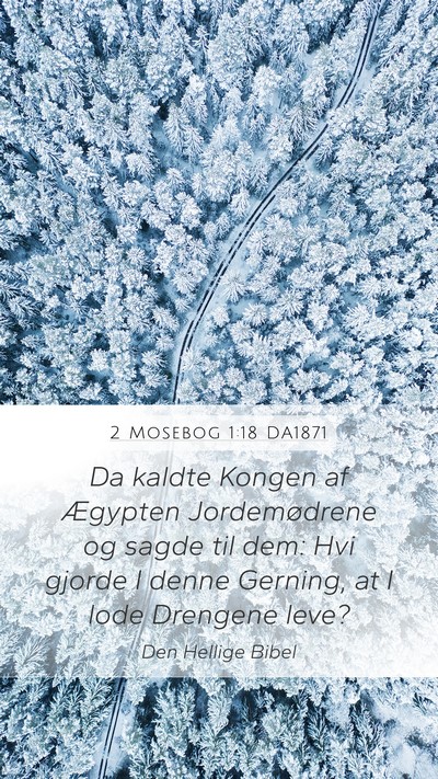 2 Mosebog 1:18 DA1871 Mobile Phone Wallpaper - Da kaldte Kongen af Ægypten Jordemødrene og - Mobile Bible Verse Wallpaper