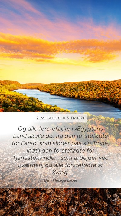 2 Mosebog 11:5 DA1871 Bible Verse Image