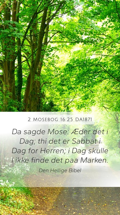 2 Mosebog 16:25 DA1871 Bible Verse Image
