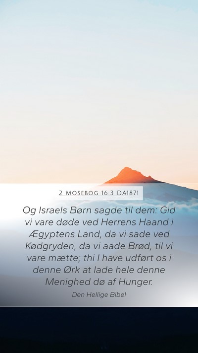 2 Mosebog 16:3 DA1871 Bible Verse Image