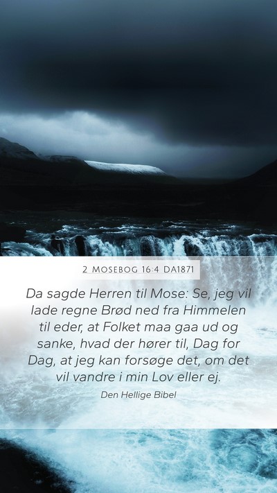 2 Mosebog 16:4 DA1871 Bible Verse Image