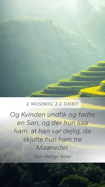 2 Mosebog 2:2 DA1871 Bible Verse Image