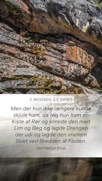 2 Mosebog 2:3 DA1871 Bible Verse Image