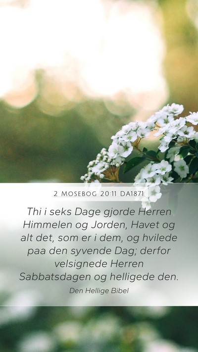 2 Mosebog 20:11 DA1871 Bible Verse Image