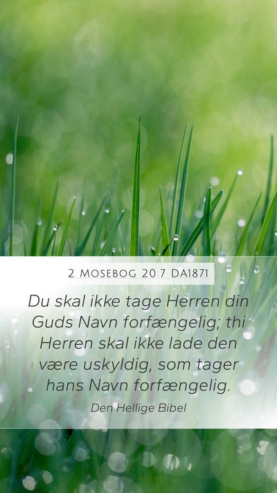 2 Mosebog 20:7 DA1871 Bible Verse Image