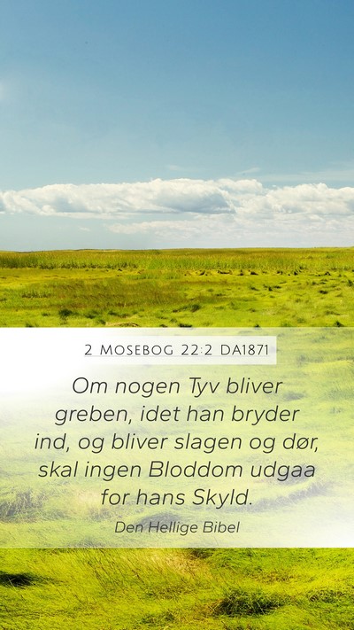 2 Mosebog 22:2 DA1871 Bible Verse Image