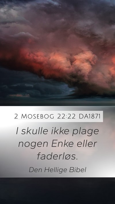 2 Mosebog 22:22 DA1871 Bible Verse Image