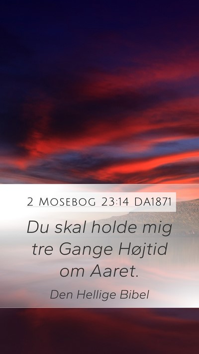 2 Mosebog 23:14 DA1871 Bible Verse Image