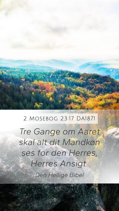 2 Mosebog 23:17 DA1871 Bible Verse Image