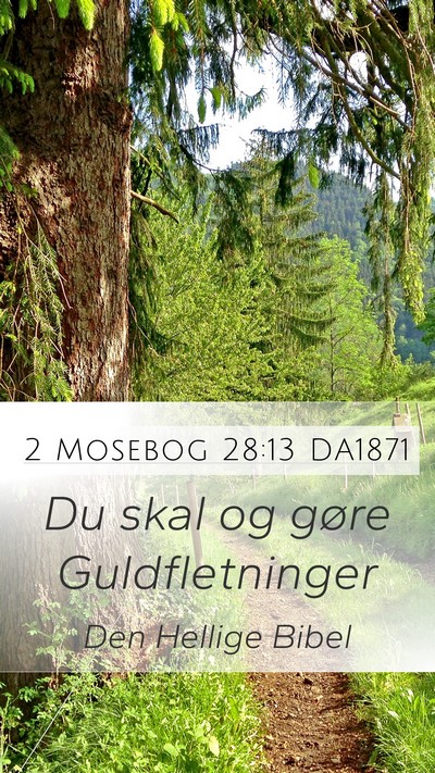 2 Mosebog 28:13 DA1871 Bible Verse Image