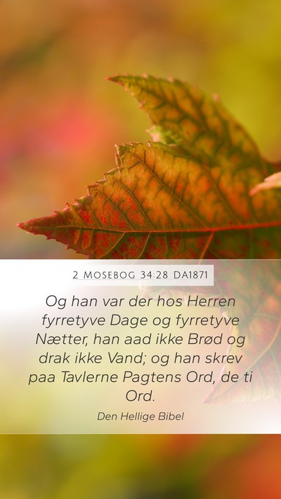 2 Mosebog 34:28 DA1871 Bible Verse Image