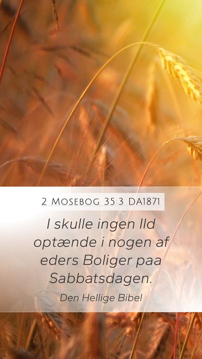2 Mosebog 35:3 DA1871 Bible Verse Image