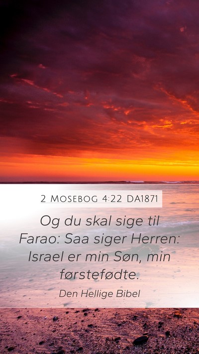 2 Mosebog 4:22 DA1871 Bible Verse Image