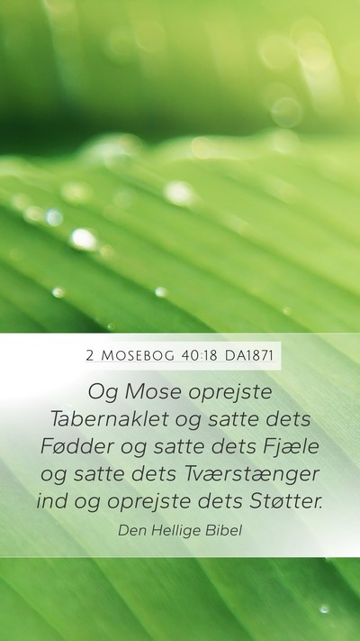 2 Mosebog 40:18 DA1871 Bible Verse Image