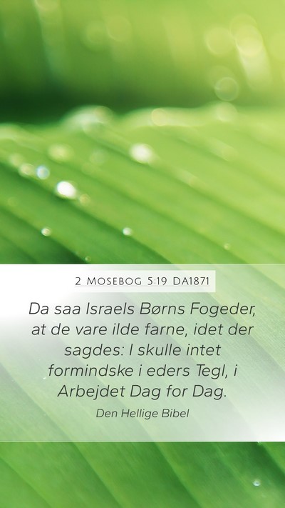 2 Mosebog 5:19 DA1871 Bible Verse Image