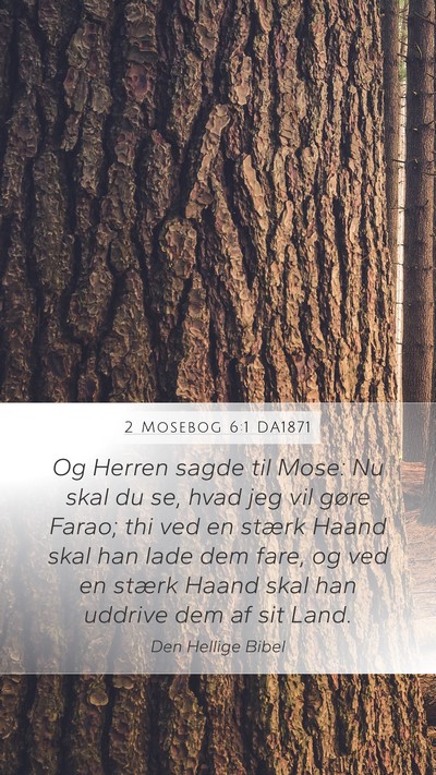 2 Mosebog 6:1 DA1871 Bible Verse Image