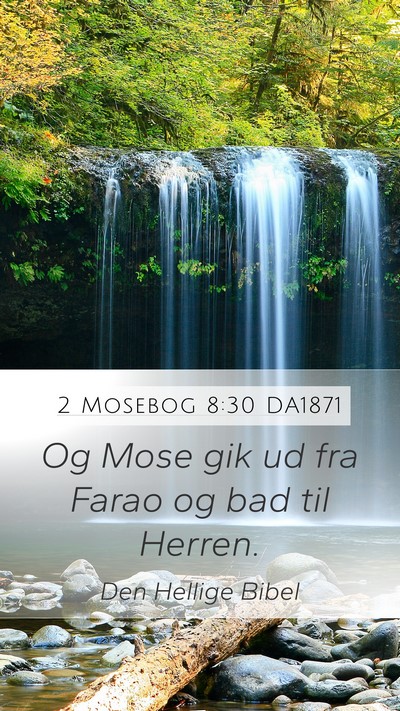 2 Mosebog 8:30 DA1871 Bible Verse Image