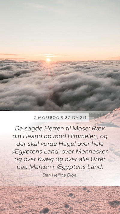 2 Mosebog 9:22 DA1871 Bible Verse Image