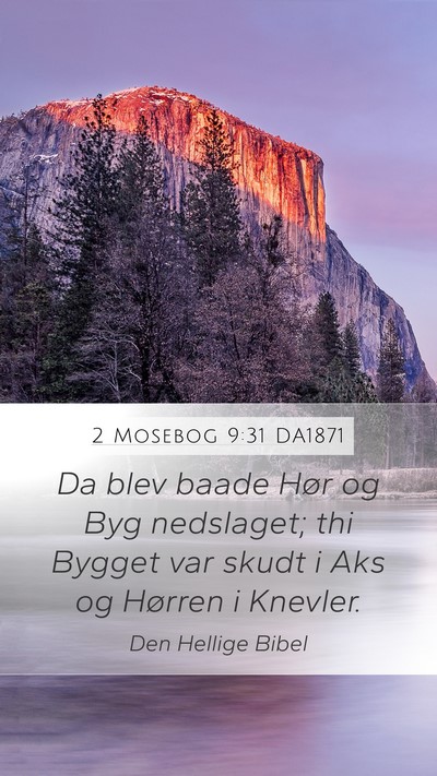 2 Mosebog 9:31 DA1871 Bible Verse Image