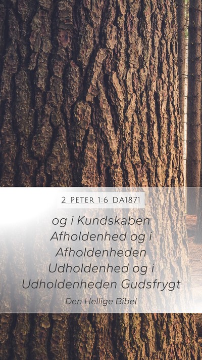 2 Peter 1:6 DA1871 Mobile Phone Wallpaper - og i Kundskaben Afholdenhed og i Afholdenheden - Mobile Bible Verse Wallpaper