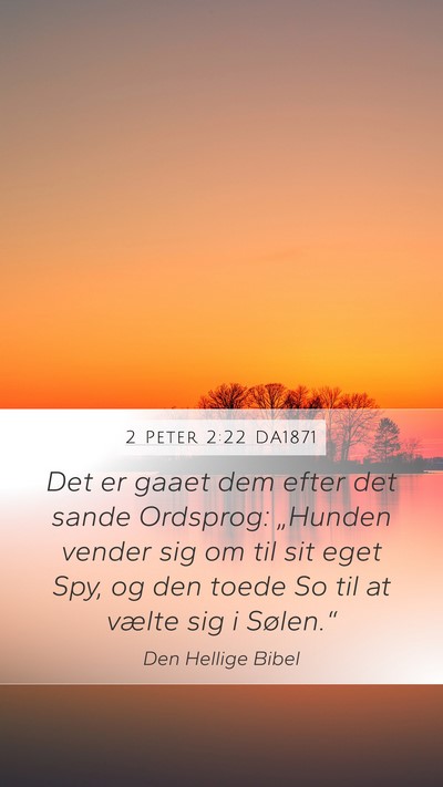 2 Peter 2:22 DA1871 Bible Verse Image