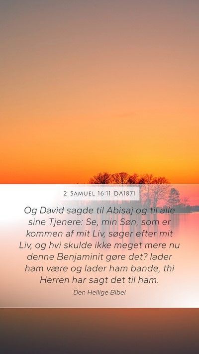 2 Samuel 16:11 DA1871 Bible Verse Image