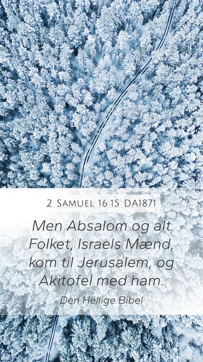 2 Samuel 16:15 DA1871 Bible Verse Image