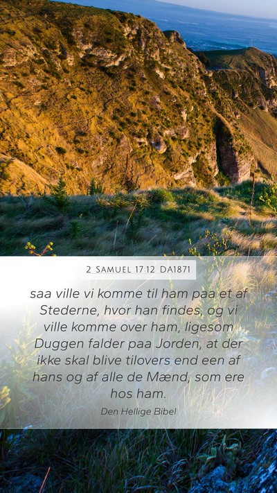 2 Samuel 17:12 DA1871 Bible Verse Image