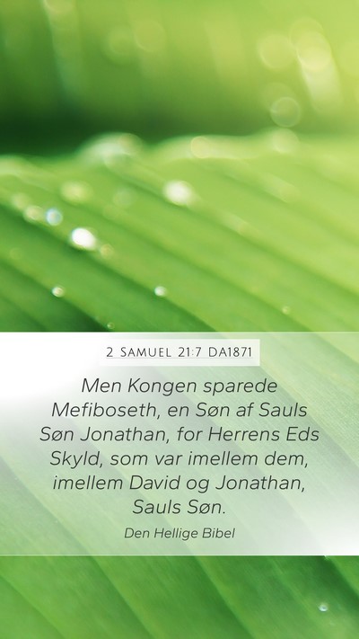 2 Samuel 21:7 DA1871 Bible Verse Image