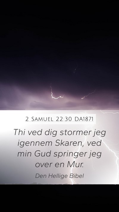 2 Samuel 22:30 DA1871 Bible Verse Image