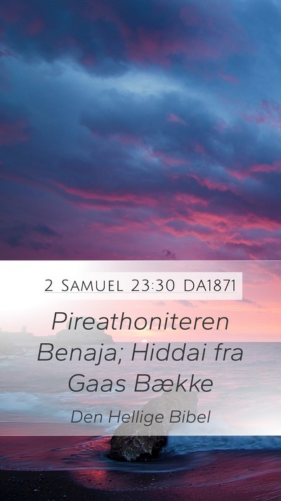 2 Samuel 23:30 DA1871 Bible Verse Image