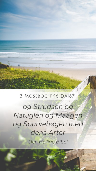 3 Mosebog 11:16 DA1871 Mobile Phone Wallpaper - og Strudsen og Natuglen og Maagen og Spurvehøgen - Mobile Bible Verse Wallpaper