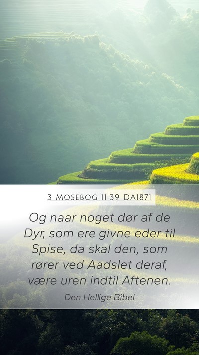 3 Mosebog 11:39 DA1871 Bible Verse Image